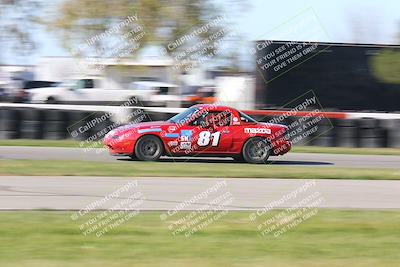 media/Mar-16-2024-CalClub SCCA (Sat) [[de271006c6]]/Group 6/Race/